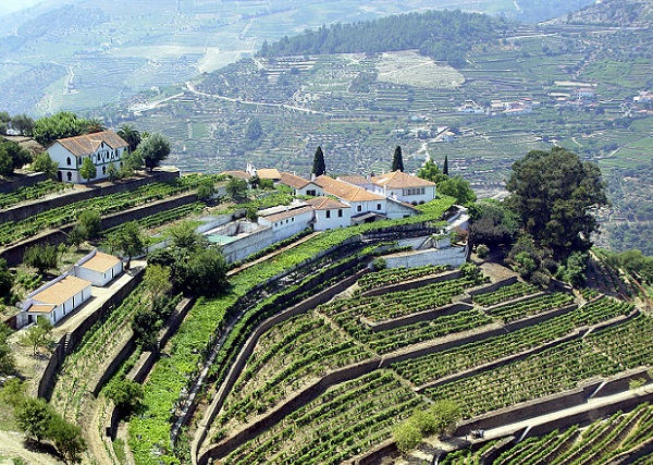 Quinta do Noval